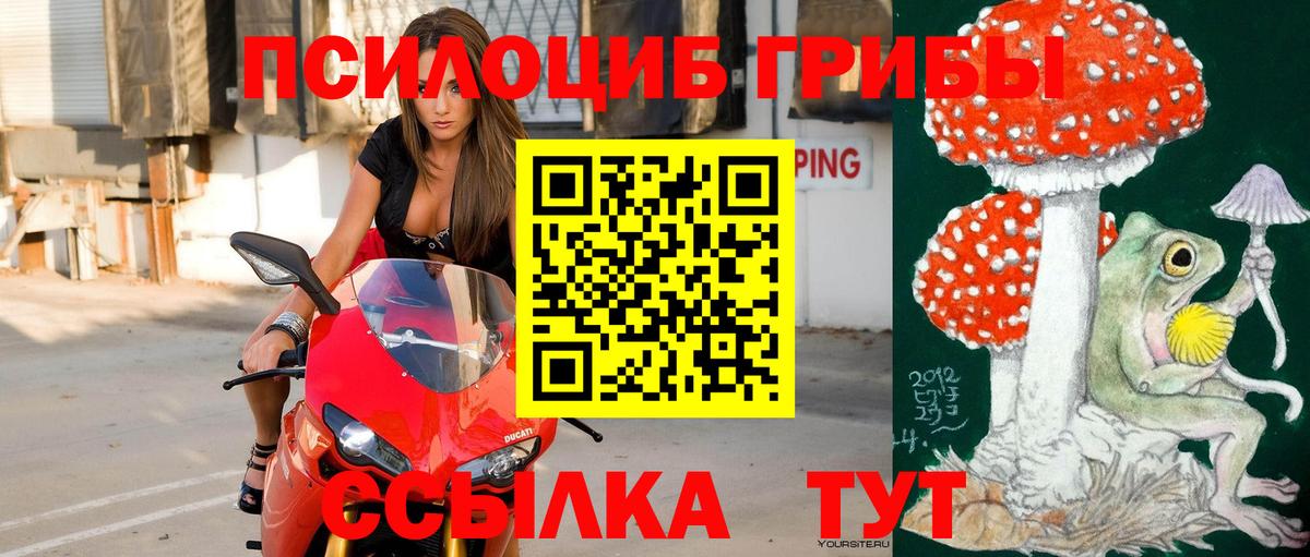 Мытищи  Псилоцибиновые грибы мицелий  Галлюциногенные грибы ЛСД  Вход с VPN 